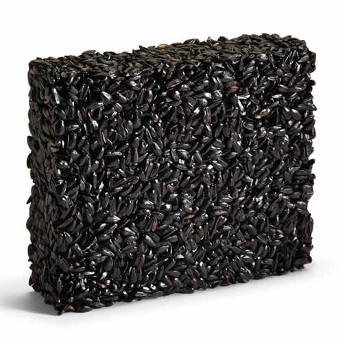 Black Oil Sunflower Seed Cake, a compact square block with visible black grains, perfect for platform or ground feeders to attract and nourish birds year-round.