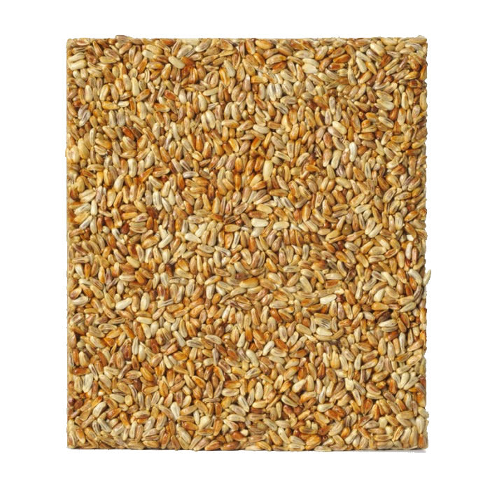 Golden Safflower Feast Block Large: Close-up of grainy safflower seeds, perfect for attracting birds like cardinals and grosbeaks, and deterring squirrels with its bitter flavor.