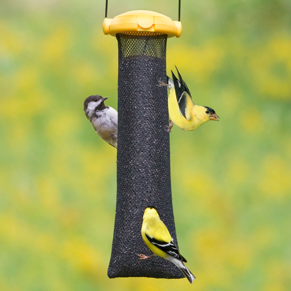 Flip Top Finch Mesh Bag hanging on a bird feeder with multiple birds feeding from the mesh openings.