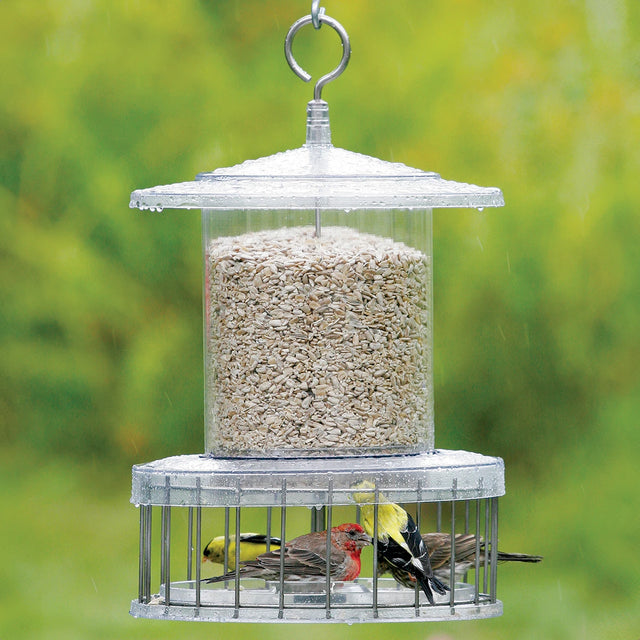 All Weather Feeder with Wire Cage, showing birds feeding from a weatherproof, squirrel-proof feeder with protected seed ports and a circular baffle for easy bird access.