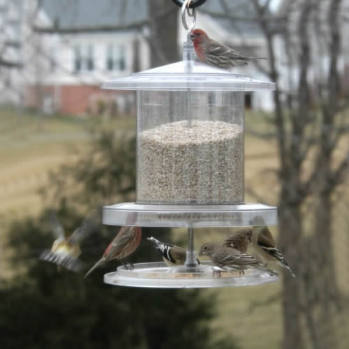 All Weather Feeder with birds perched, featuring a 10-inch diameter and 18-inch height, designed to keep seed dry and accessible in harsh weather.