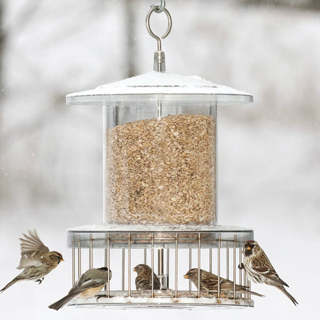 All Weather Feeder with Wire Cage, holding seeds, features a weatherproof design with protected seed ports, a circular baffle, and a squirrel-proof wire cage.