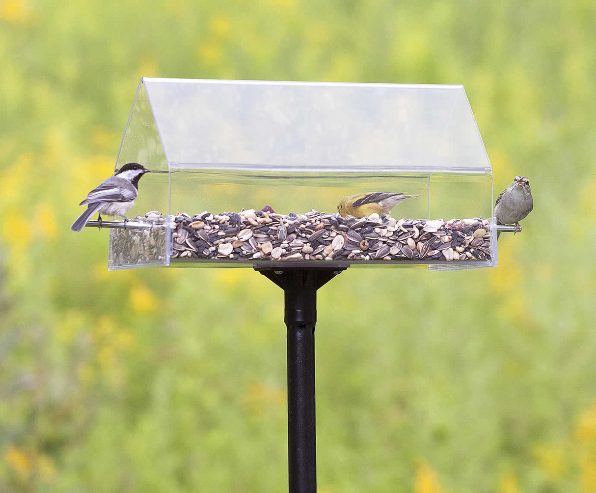 Duncraft Pole Mount Chalet feeder with clear cover, birds perched inside and on sides, includes a sectional pole for easy setup and viewing.