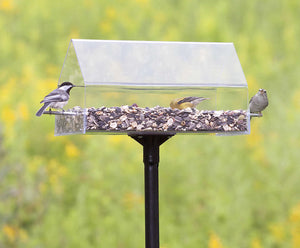 Duncraft Pole Mount Chalet feeder with clear cover, birds perched inside and on sides, includes a sectional pole for easy setup and viewing.