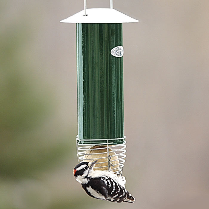 Automatic Suet Ball Feeder with a black and white woodpecker perched, feeding from the spiral wire caging. Holds up to five suet or seed balls.