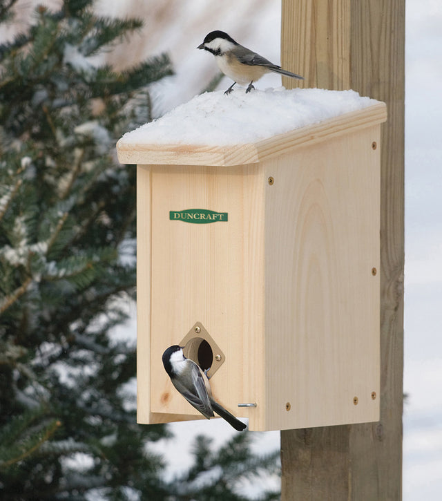 Duncraft Convertible Roost House with a bird perched on the entrance, mounted outdoors on a snowy surface, providing winter shelter for birds.