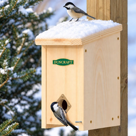 Duncraft wooden winter roosting house mounted on a post with a snow-covered roof, two black-capped chickadees, and a green Duncraft logo against a snowy evergreen background.