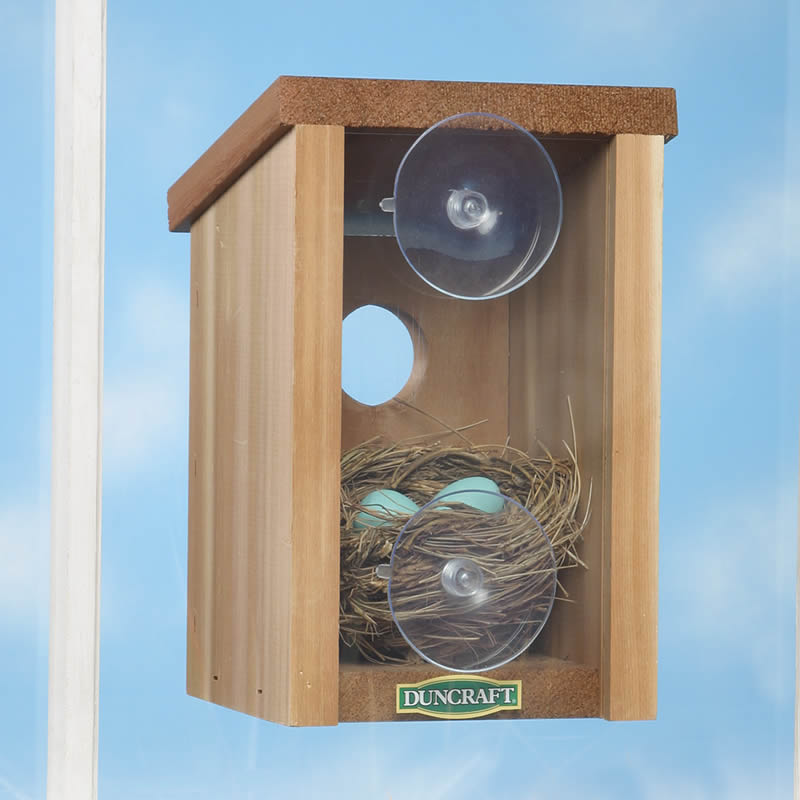 Duncraft Window View Bird House with clearview plastic back panel, featuring a nest with eggs inside for close-up bird-watching.