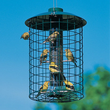 Duncraft Nyjer® Selective Feeder featuring multiple small songbirds feeding through the metal caging, designed to block larger birds and squirrels.