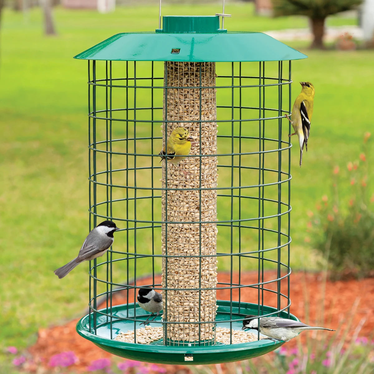 Duncraft Peanut & Sunflower Mesh Metal Selective feeder with birds feeding, featuring a stainless steel mesh tube and squirrel-proof locking cap.