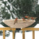 All-Seasons Heated Deck Mount Bath with house finches; snow-covered deck railing; ensures ice-free water for birds in winter; thermostatically controlled; tilts for cleaning.