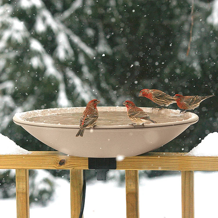 All-Seasons Heated Deck Mount Bath with house finches; snow-covered deck railing; ensures ice-free water for birds in winter; thermostatically controlled; tilts for cleaning.