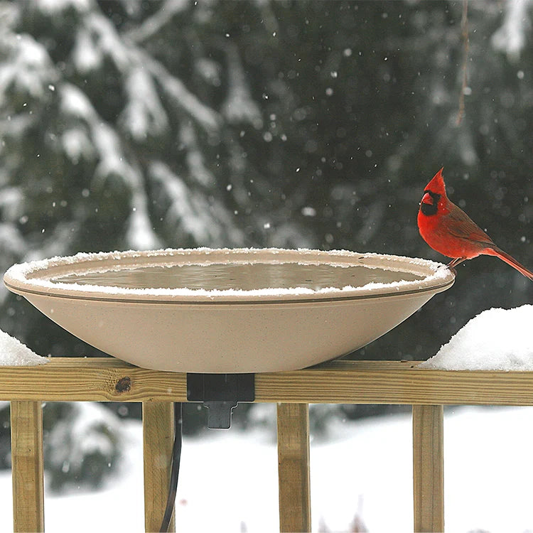 All-Seasons Heated Deck Mount Bath with a red cardinal perched on its snowy rim, offers ice-free water amidst falling snow and evergreen backdrop.