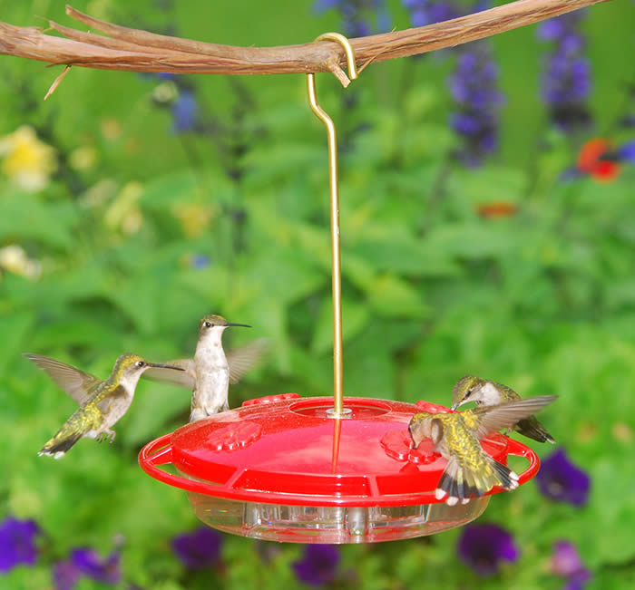 Aspects HummZinger Ultra Hummingbird Feeder | Duncraft