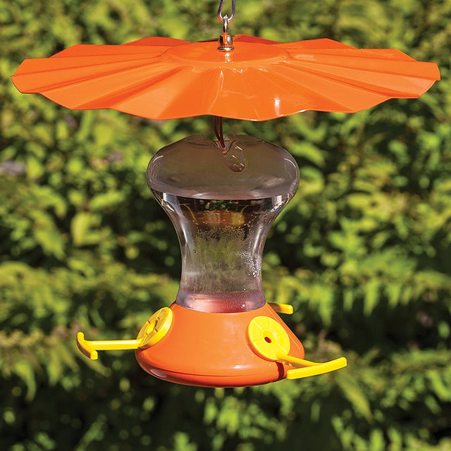 Oriole Weather Guard featuring a metal umbrella-like design, protecting oriole feeders from rain and sun with brass hardware for easy hanging.