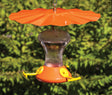 Oriole Weather Guard featuring a metal umbrella-like design, protecting oriole feeders from rain and sun with brass hardware for easy hanging.