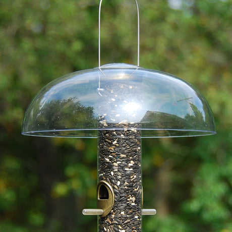 Aspects Tube Top Baffle protecting a bird feeder from rain, ensuring seed stays dry while a bird feeds. Clear dome offers an unobstructed view.