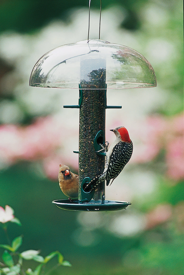 Duncraft Super Classic Tube Value bird feeder with a woodpecker perched on it, featuring a clear plastic tube and metal feeding ports.