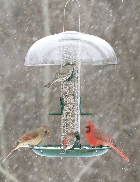 Duncraft Super Classic Tube Value bird feeder in snowy setting with birds feeding, featuring clear plastic tube, weather dome, and seed catch tray.