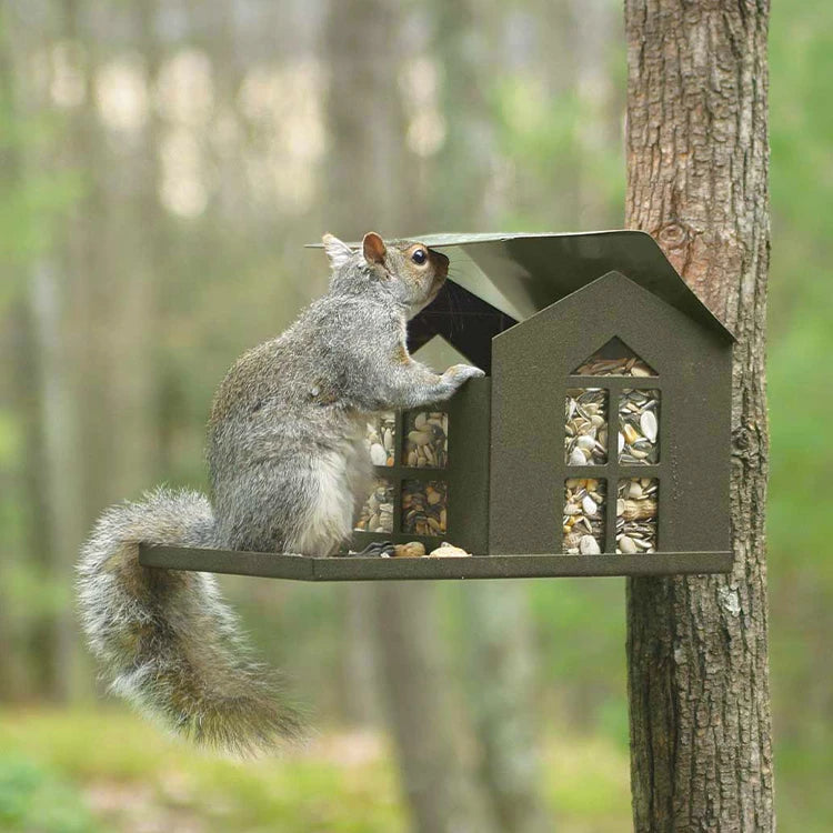 Metal Squirrel Feeder with squirrel lifting roof to access food, featuring a built-in porch area, post-mount, and rear-mount options.