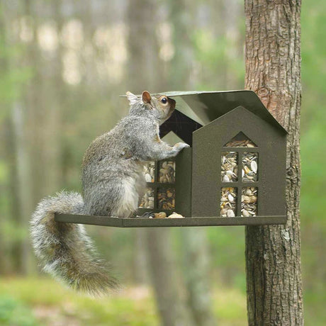 Metal Squirrel Feeder with squirrel lifting roof to access food, featuring a built-in porch area, post-mount, and rear-mount options.