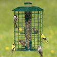 Duncraft Squirrel Proof Selective feeder with multiple birds feeding; features a metal hanger, six feeding ports, and a squirrel-proof design.