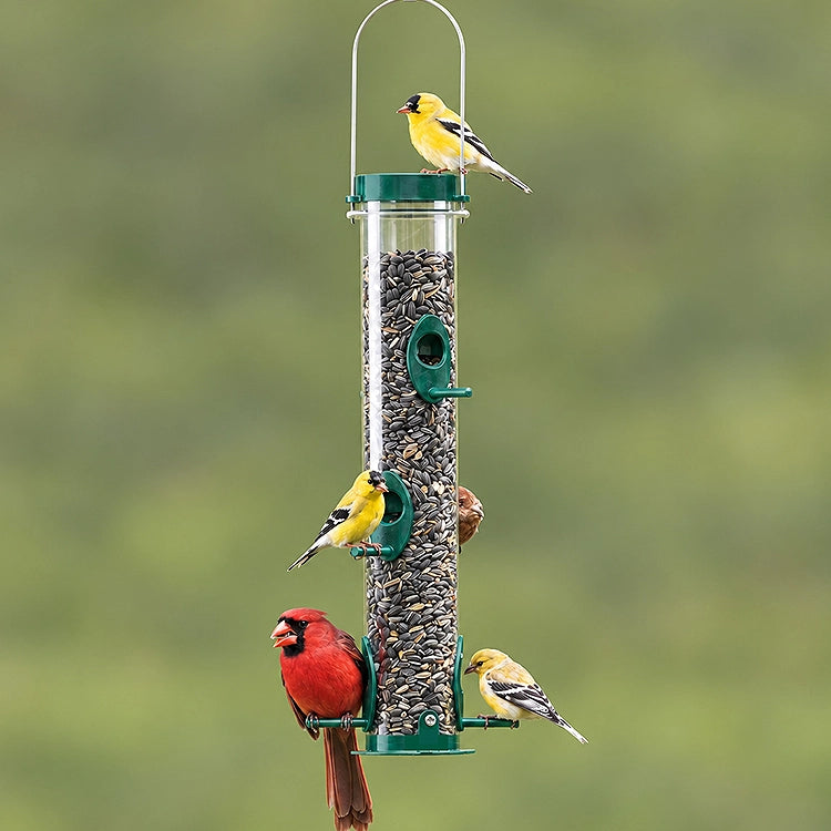 Duncraft Original Tube Feeder filled with seeds, featuring a red male Northern Cardinal and American Goldfinches feeding. Durable, chew-proof design with six metal ports.