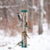 Duncraft Original Tube Feeder filled with seeds, featuring a woodpecker, chickadee and other birds feeding. Durable, chew-proof design with six metal ports.