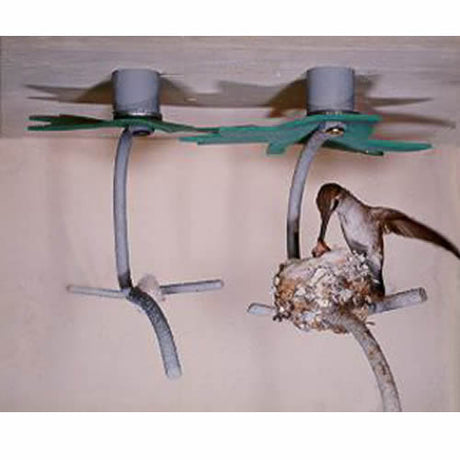 Hummingbird House, Set of 2, featuring forked branches, a leaf umbrella, and a landing branch, designed to attract nesting hummingbirds.