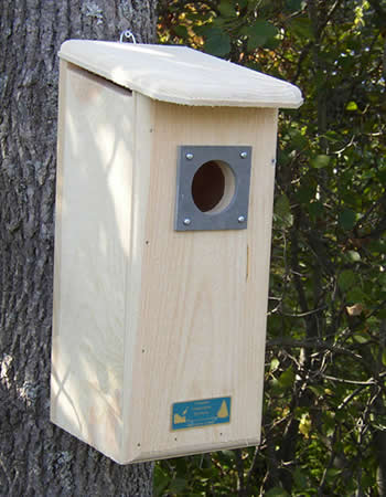 Three Woodpecker House on a tree, featuring a round entrance hole with a built-in predator guard. Suitable for Hairy, Red-headed, and Red-bellied Woodpeckers.