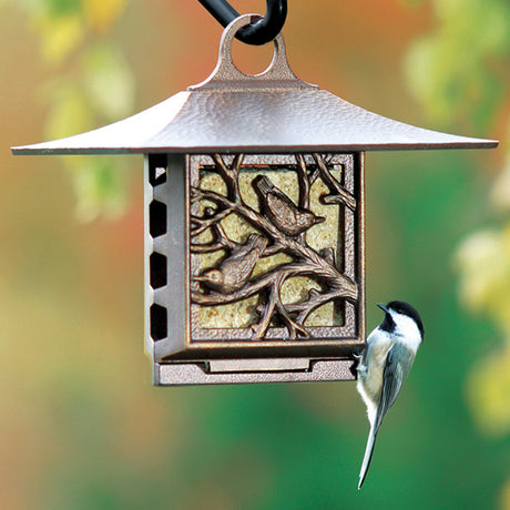 Nuthatch Suet Feeder: Bird on a weather-resistant aluminum feeder with a copper finish, featuring a nuthatch design, for adding yard decoration and feeding wildlife.