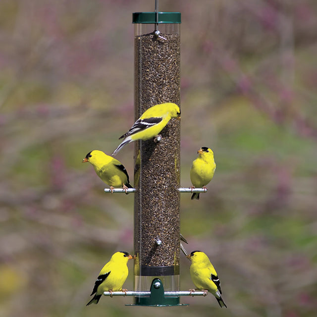 Duncraft Classic Nyjer® Tube Feeder attracting multiple yellow birds, featuring eight feeding ports and holding up to 1.5 lbs of Nyjer® seed.