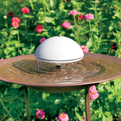 Water Rigglers Fountains & Water Wigglers | Bird Bath Accessories | Duncraft