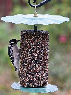 Seed Cylinder Holder with a bird feeding on a seed log, featuring a protective top baffle to shield from rain and snow.