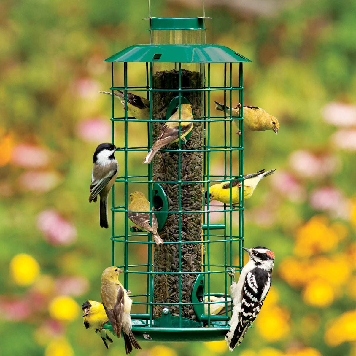 Duncraft Metal Haven Feeder with multiple birds feeding, six ports, and squirrel-proof metal caging.