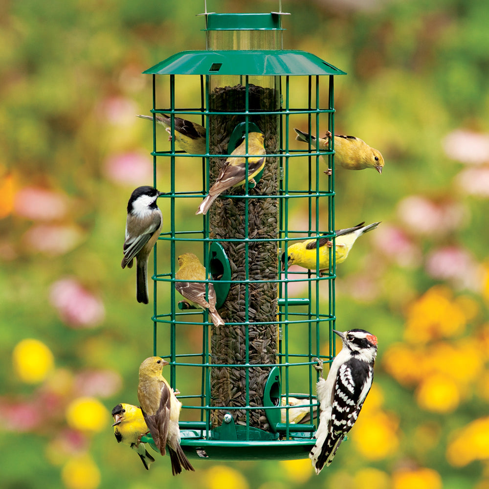 Duncraft Metal Haven Feeder with Goldfinch, Woodpeckers and Chickadee