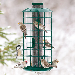 Duncraft Metal Haven Feeder showing small songbirds feeding peacefully from six feeding ports, with an all-metal outer caging and a wire hanging loop.