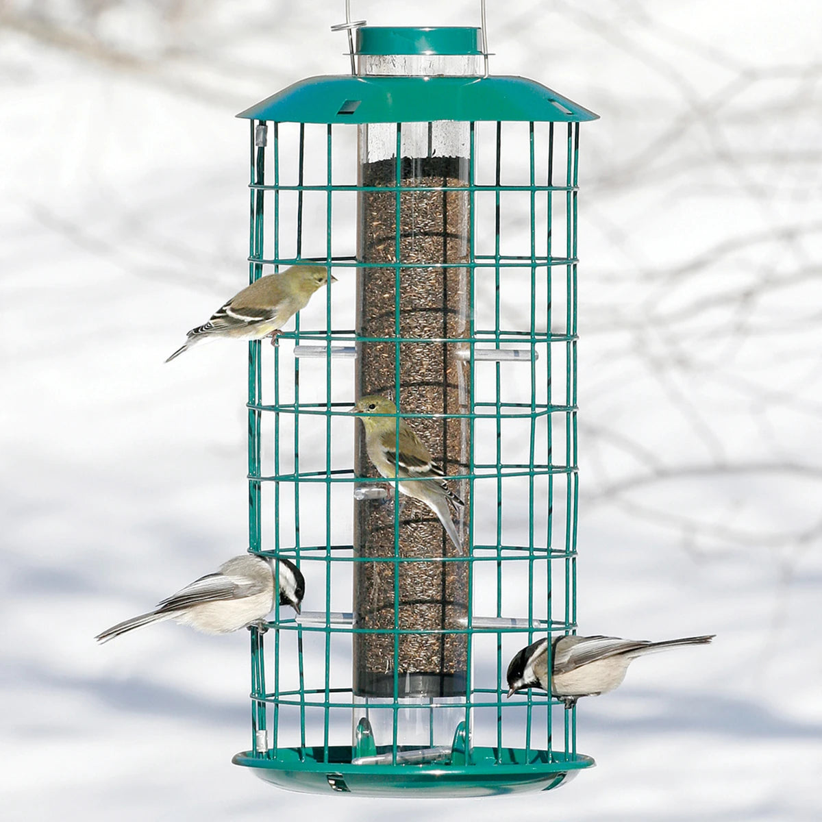 Duncraft Metal Nyjer® Feeder with birds perching on wire caging, designed to prevent larger birds from accessing seed, includes a seed tray to catch spills.