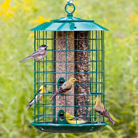 Duncraft Metal Safe Haven bird feeder with multiple birds feeding at six ports, featuring an all-metal caging and squirrel-lock cap for protection.