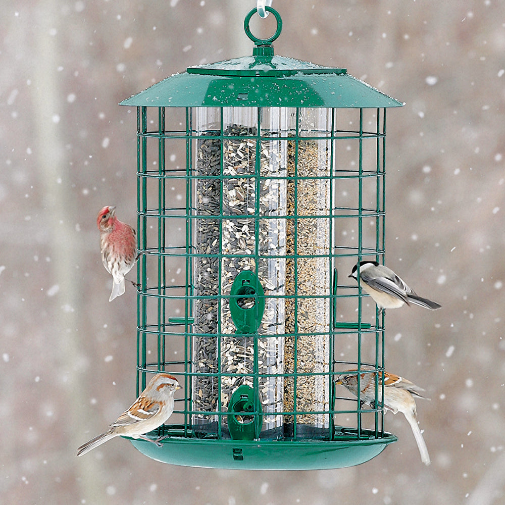 Duncraft Metal Safe Haven with birds eating seed with a snowy background. 