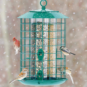 Duncraft Metal Safe Haven bird feeder with six feeding ports, outer caging, attached seed tray, and locking cap, attracting various birds while deterring larger ones and squirrels.