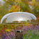 Clear dome bird feeder with seeds against a blurred garden background