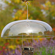 Aspects Super Dome bird feeder with an 18-inch clear plastic weather dome, hanging from a tree to protect birdseed from wet weather.