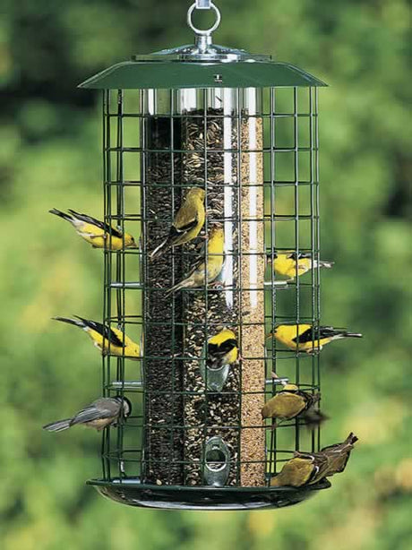 Duncraft Triple Haven Feeder: metal bird feeder with multiple birds, featuring three seed tubes with nine feeding ports, chew-proof caging, and a locking lid.