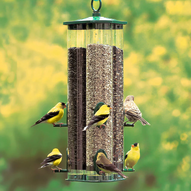 Duncraft Triple Tube Jr. Birdfeeder showing multiple birds perched and feeding, featuring three seed tubes, six feeding stations, and durable metal components.