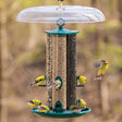 Duncraft Triple Tube Jr. Feeder with Tray & Baffle, featuring multiple birds feeding on the three-tube setup, showcasing its capacity to attract diverse bird species.