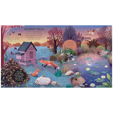 Illustrated spread of Look Inside Animal Homes, showing nocturnal wildlife by a pond, including ducks, foxes, and a barn owl, emphasizing nighttime habitats.