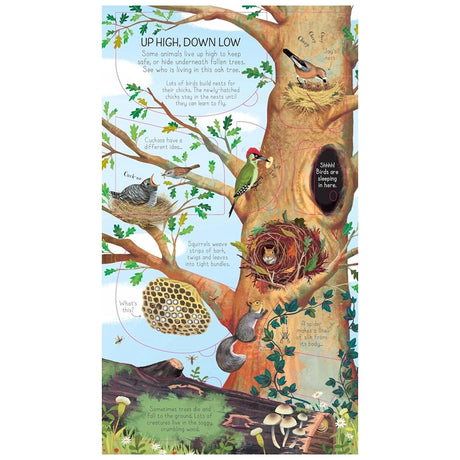 Illustration from Look Inside Animal Homes, showcasing diverse creatures inhabiting an oak tree, highlighting bird nests, squirrels, and forest floor life.