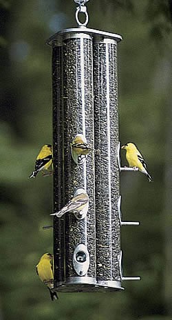 Duncraft Triple Tube Feeder with multiple birds feeding from three recycled resin tubes and nine metal feeding stations.