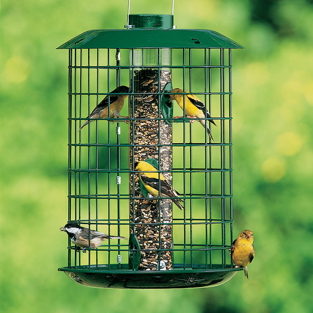 Duncraft brand caged tube bird feeder with birds eating from a tube inside a cage.